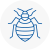 Bed Bug Extermination In Letchworth