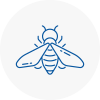 Bee Nest Removal Letchworth