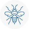 Letchworth Hornet Nest Removals