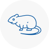 Rat Control Letchworth