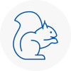 Letchworth Rodent Removals