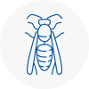 Letchworth Wasp Nest Removal